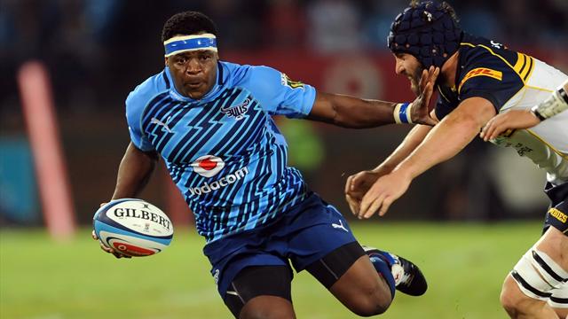 Bulls-Brumbies: Destination finale