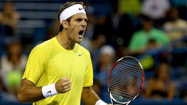 Del Potro s'offre un 15e titre