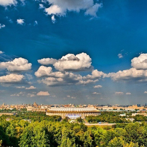 лужники