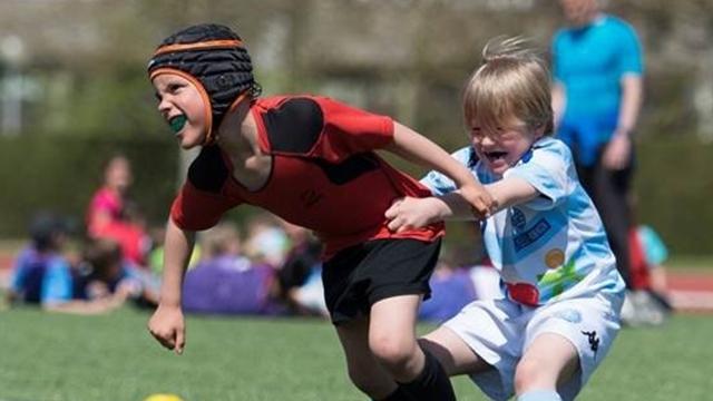 "Allez les Petits" - Toutes les vidéos de la saga