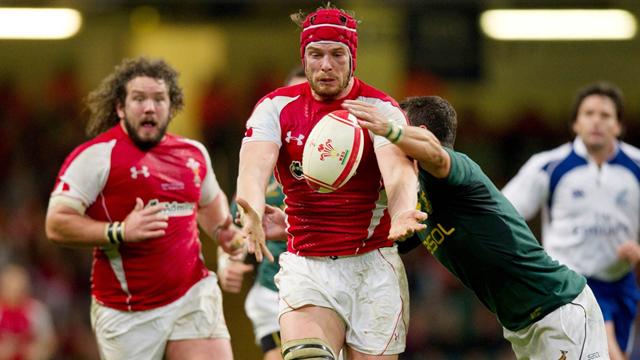 Les Springboks se frotteront trois frois aux Gallois en 2014