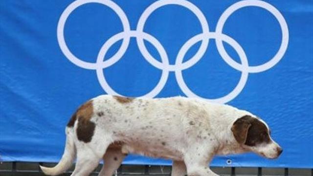 Soçi'de Olimpiyat katliamı!