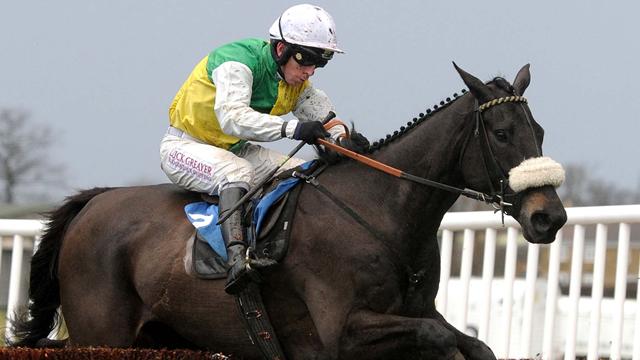 Former National winner Many Clouds dies after race