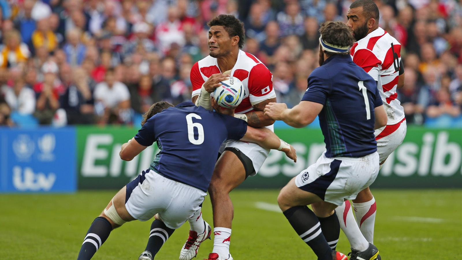 Scotland's Wilson cleared of testicle grab Rugby Eurosport UK