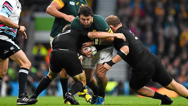Le Springbok Malherbe dit avoir refusé une offre de Toulon