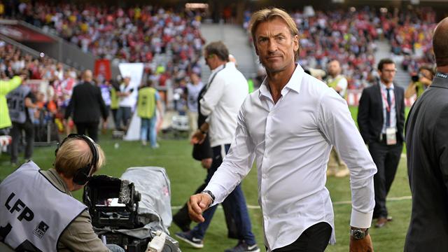 Renard rebondit au Maroc