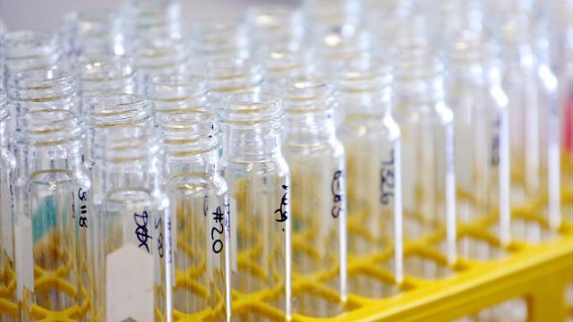 Doping: Bob-Olympiasieger gesperrt