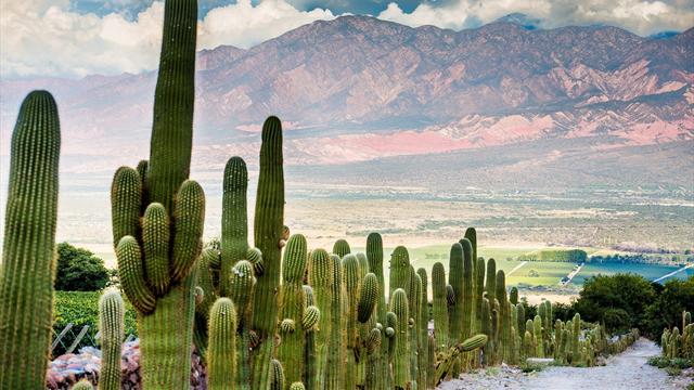 Dakar 2016 – Montagne aux sept couleurs, vin, canyon géant… 7 villes étapes d’exception en Argentine