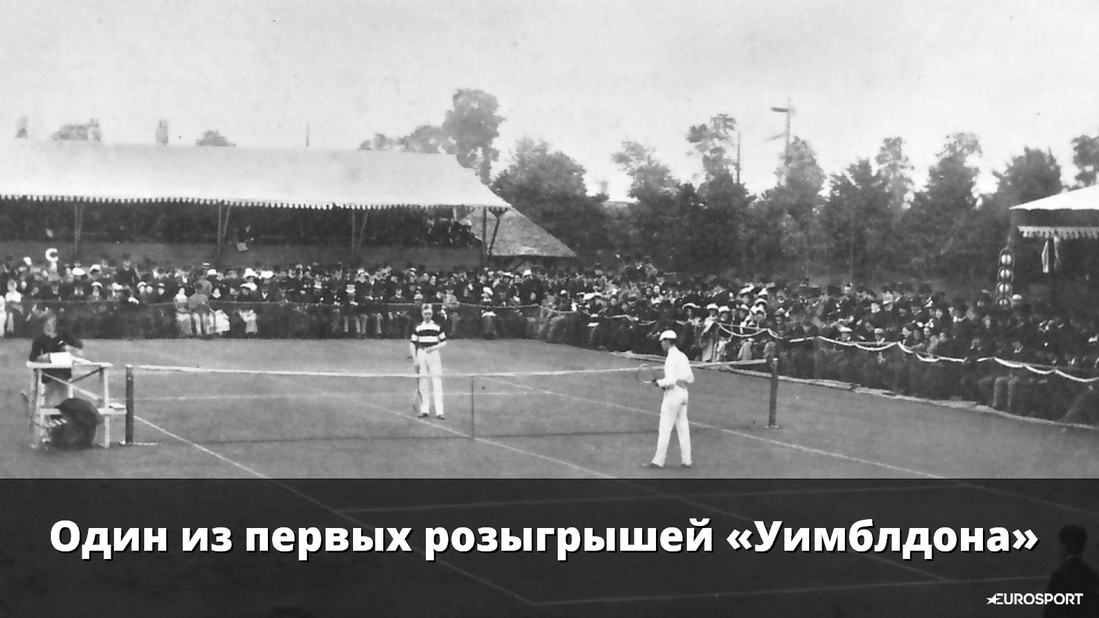 Золотая лихорадка. Как сын барона почти выиграл «Уимблдон» и расчленил женщину