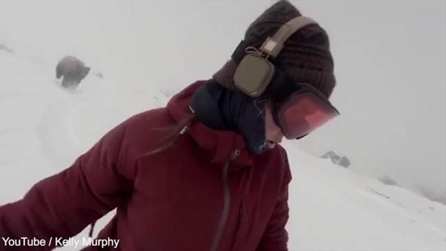 Сноубордистка случайно сняла гнавшегося за ней медведя