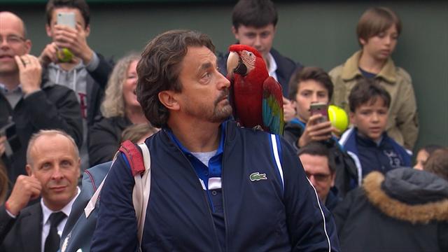 Pour affronter McEnroe, Leconte a débarqué avec… un perroquet sur l’épaule