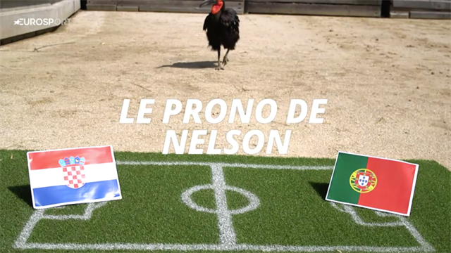 Nelson le calao avait vu juste avec la victoire du Portugal