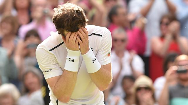 Folle bataille pour le trône à Wimbledon : ils sont quatre à pouvoir être N.1 mondial