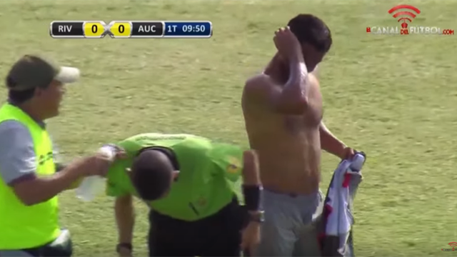 En Equateur, les abeilles ont forcé l’arbitre à interrompre le match
