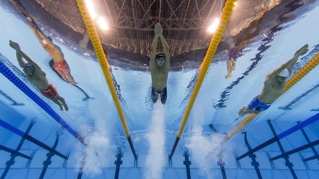 Mundial de natación