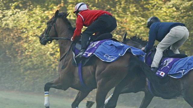 Qatar Arc Trials : quelles sont les têtes d'affiche ?