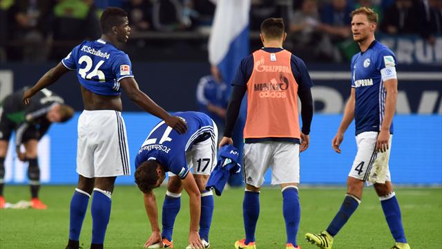 Fan-Blog: Schalke darf unsere Geduld nicht überstrapazieren!