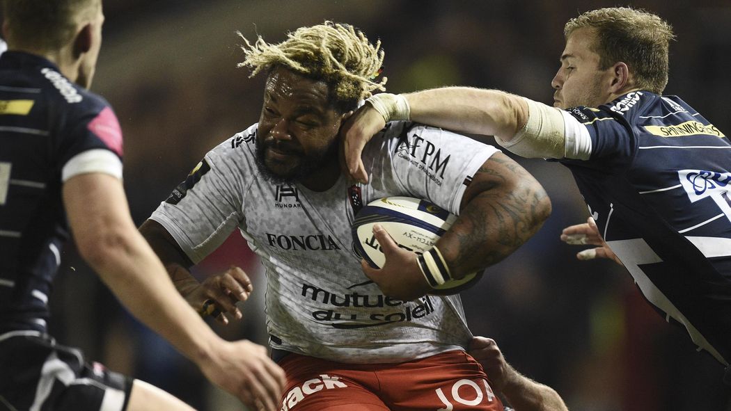 rugby sale toulon