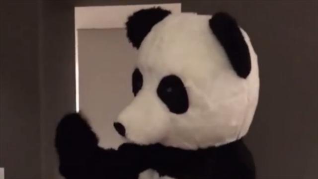 Déguisé en panda, Evra danse pour lutter contre le racisme