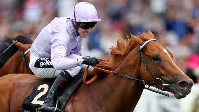 Champion jockey Jim Crowley and Freddie Tylicki taken to hospital with 'suspected spinal injuries'