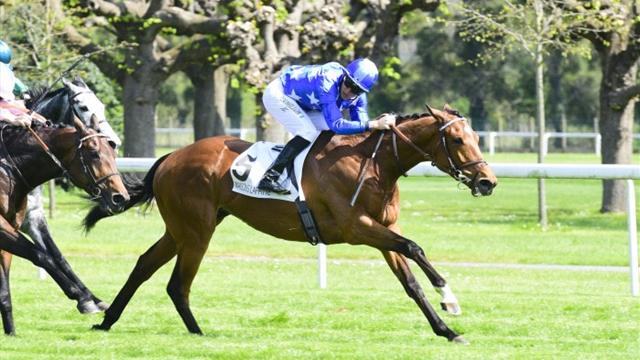 LONGINES Hong Kong Vase : quatorze champions pour ouvrir le bal de Sha Tin !