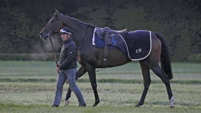 Haras : Trêve craque pour un petit jeune !