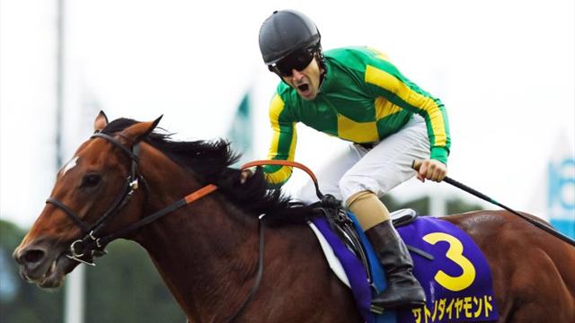 Arima Kinen : de la poudre d'argent sur la croupe du diamant !