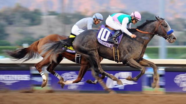 USA : Arrogate se dévoue pour la nouvelle année !