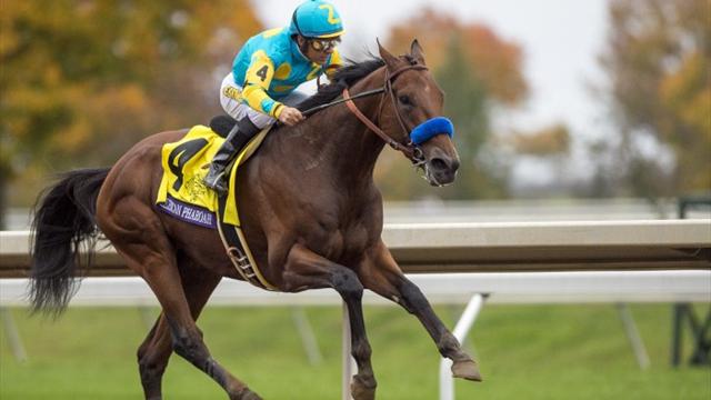 Le roi American Pharoah présente son petit prince !