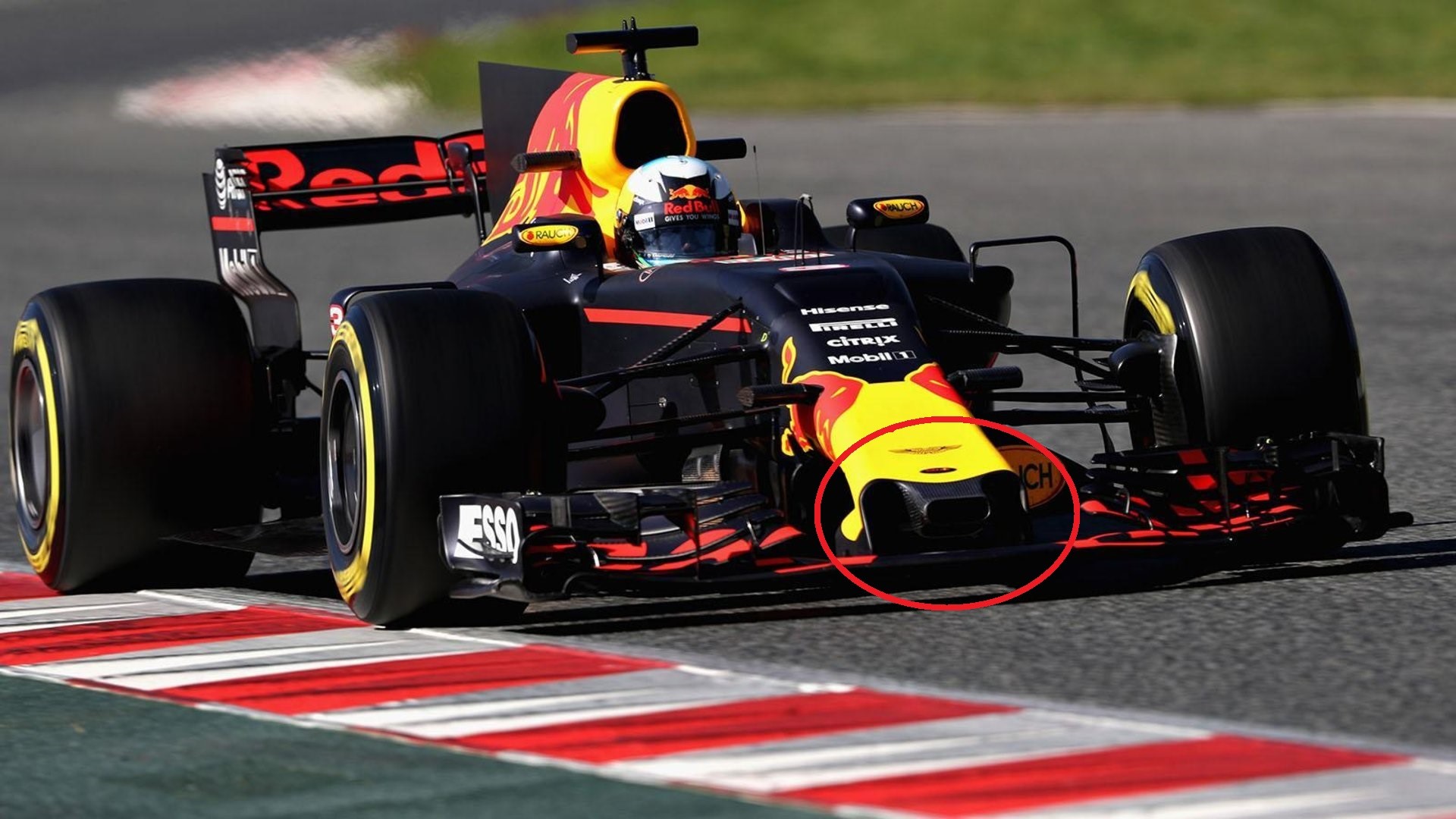Болид Red Bull