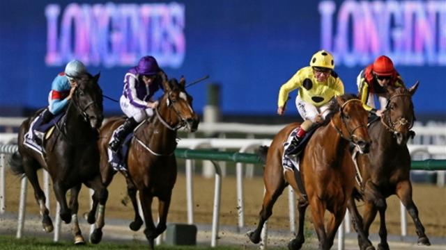 Dubai World Cup Day: Arrogate, el caballo de los diez millones de dólares