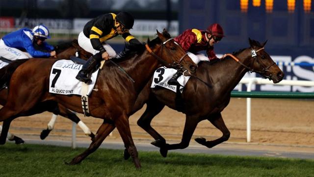 UAE : The Right Man, Père Noël de Meydan !