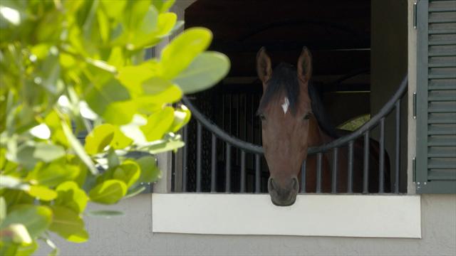 ROLEX MINUTE: Showjumping's elite take centre stage in Florida ROLEX MINUTE: Showjumping's elite take centre stage in Florida