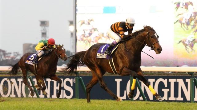 JAP : Kitasan Black. Et si c'était lui, le futur crack de Chantilly ?