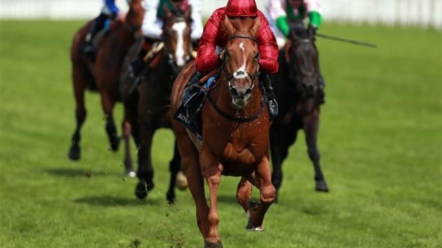 Randwick: Winx triunfa en la Longines Queen Elizabeth’s Stakes