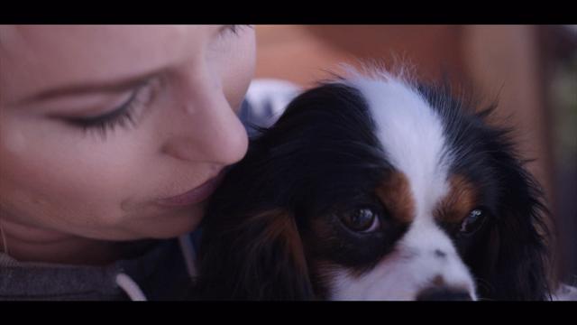 Chasing History: Meet Lucy the dog… Lindsey Vonn’s travelling companion Chasing History: Meet Lucy the dog… Lindsey Vonn’s travelling companion