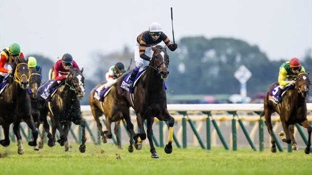 JAP : Kitasan Black, déchaîné à l'idée de Chantilly !