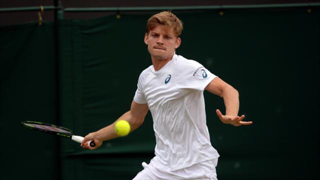 Injured Goffin pulls out of Wimbledon