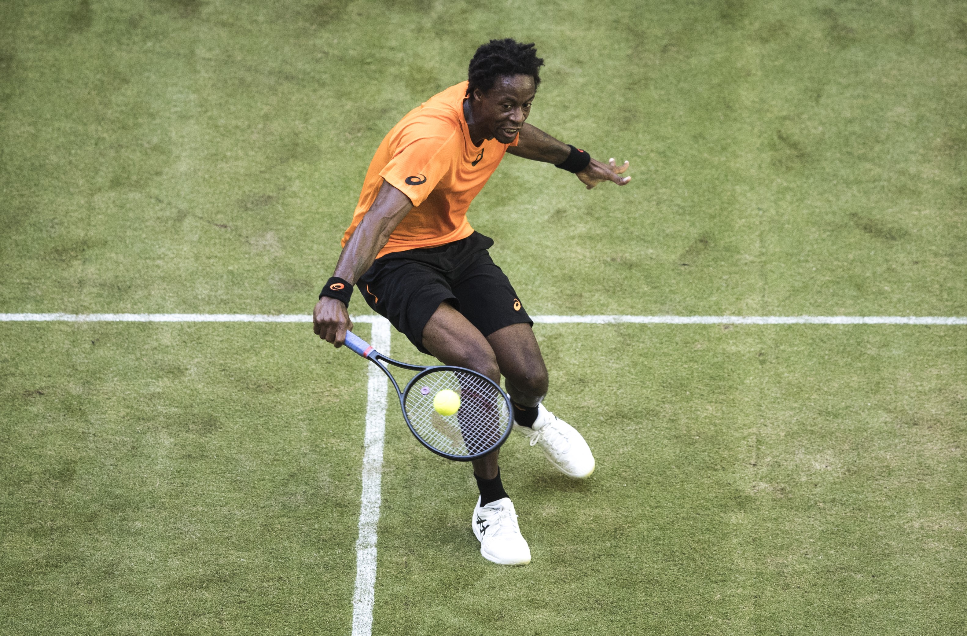 Gael Monfils au 1er tour à Halle en 2017