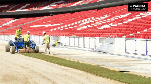 Así se coloca el césped del Wanda Metropolitano Así se coloca el césped del Wanda Metropolitano