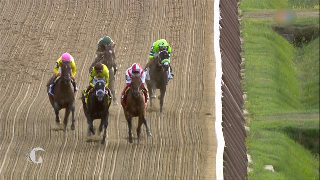 Horse Excellence: Хавьер Кастельяно Horse Excellence: Хавьер Кастельяно