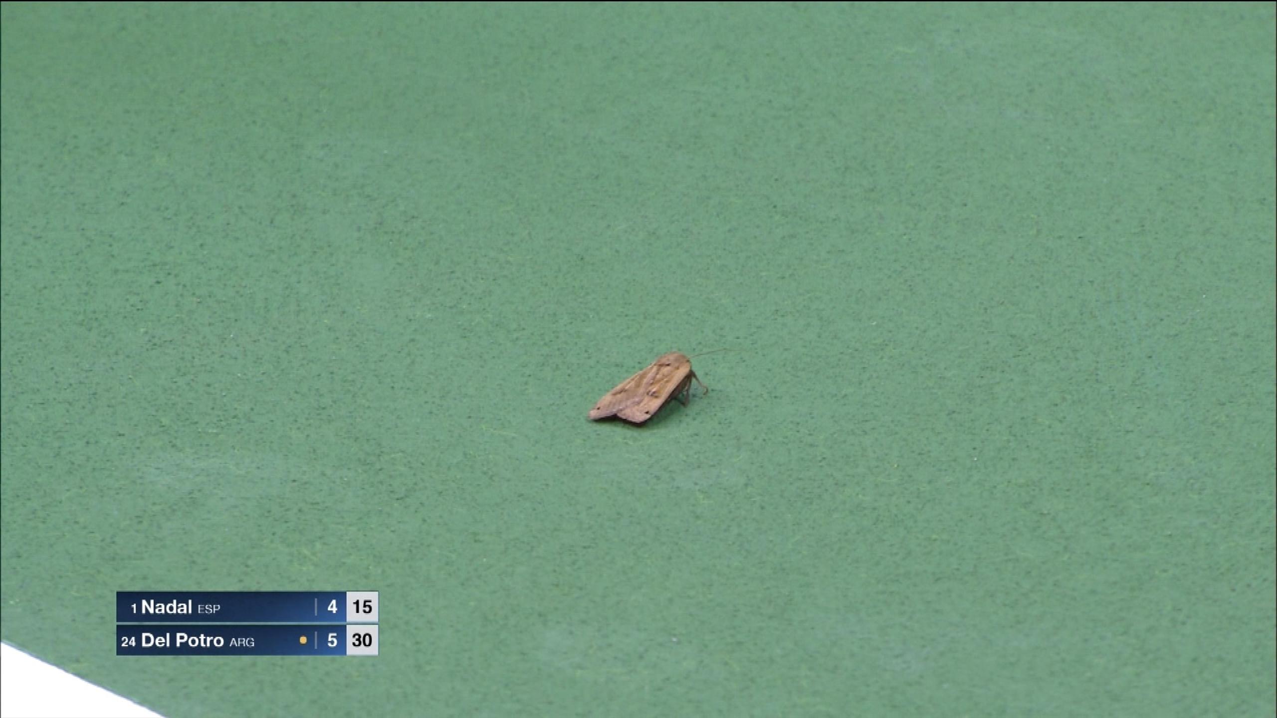 Revoir Tennis du 09 Septembre