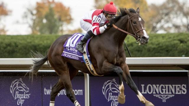 USA : Songbird s'arrête sur une fausse note !