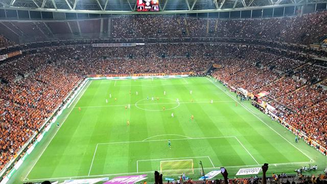 Aslantepe'de dalya