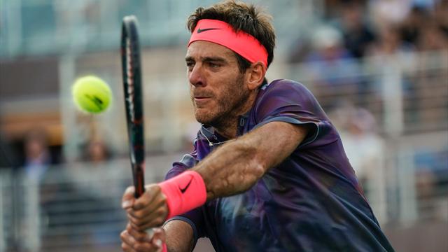 Del Potro s'en sort face à Cuevas et va retrouver Dimitrov