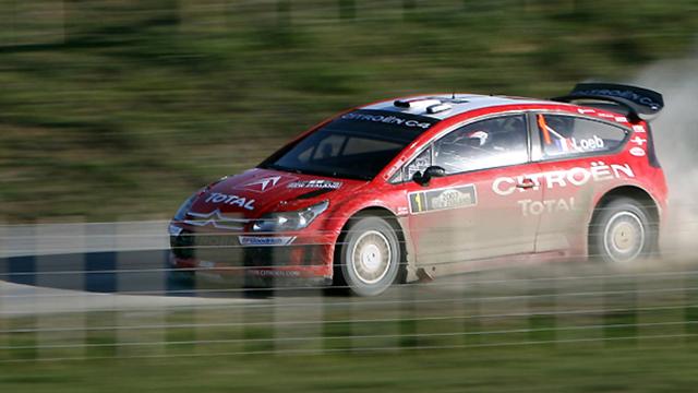 Loeb en chasse