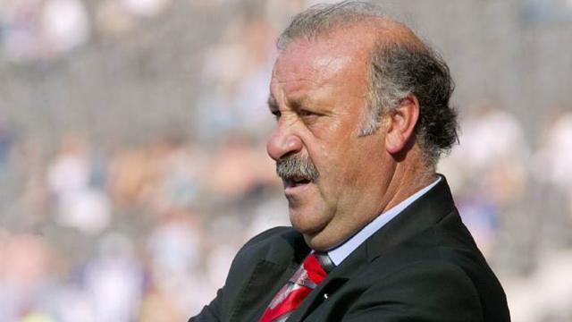 Del Bosque nuovo ct della Spagna