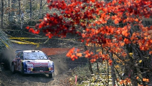 Loeb a le champ libre