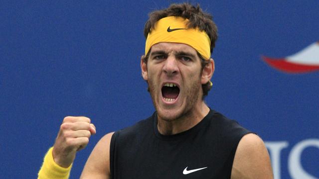 Del Potro voit haut