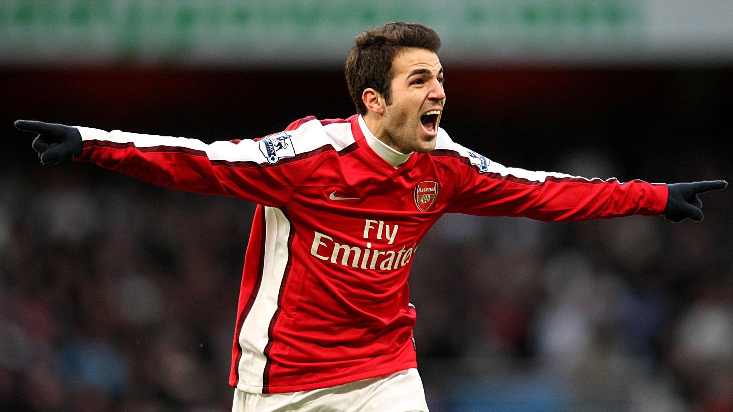 cesc fabregas arsenal jersey